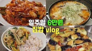 6만원 집밥 해결하는 VLOG  물기 없는 오징어볶음 토마토치즈밥 가지 활용 2가지 원팬 잡채 꽃게탕 황금레시피 냉잔치국수 아이 반찬