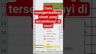 CARA MENGEMBALIKAN SHEET YANG TERSEMBUNYI DI MICROSOFT EXCEL