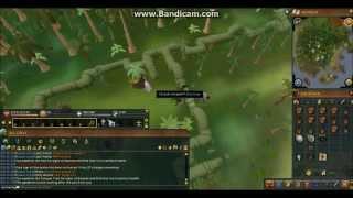 Runescape 3 Complete Tree Farming Guide  Efficient and Fastest Route