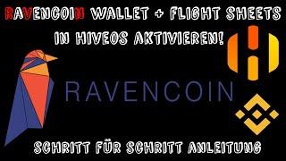 ️Ravencoin Wallet + Flight Sheets auf Hive OS einrichten ️AMD & NVIDIA GRAFIKKARTEN