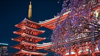 Tokyo Evening Walk Along Sumida River to Asakusa • 4K HDR