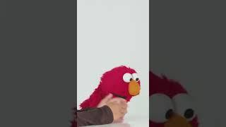 Kids Meet a Basketball Player with Elmo