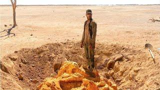 Poor Boy Finds 900 Kg Of Gold In The Middle Of Desert 