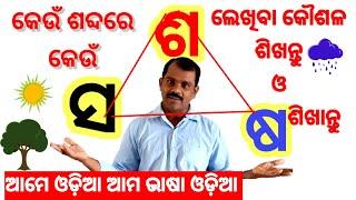 #3sas ll ଶଷ ସର ବ୍ୟବହାର ll uses of 3 sas