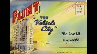 FREE Flint Loop Kit  Sample Pack YN Jay BabyTron Baby Smoove Flint Detroit