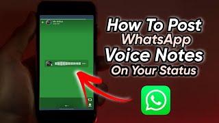 How To Post WhatsApp Voice Notes On Status   How To Post WhatsApp Audio Clips on Status