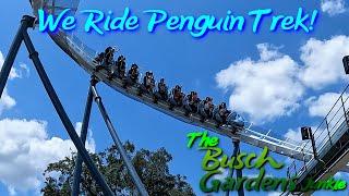 SeaWorld Orlando Penguin Trek Pass Member Previews #seaworld #seaworldorlando #penguin