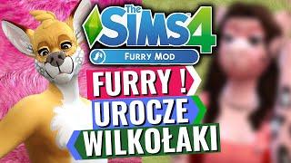 FURRY MOD  To jak słodkie WILKOŁAKI w THE SIMS 4