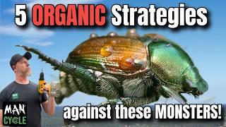 How to Get Rid of Japanese Beetles - 5 ORGANIC and NATURAL Strategies