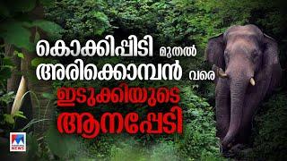 അരിക്കൊമ്പനിൽ ഒതുങ്ങുന്നതല്ല ഇടുക്കിയുടെ ആനപ്പേടി  Arikomban  Idukki  Elephant