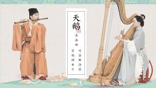 【竹笛Chinese flute X 豎琴Harp】優雅的《天鵝》The Swan Saint-Saëns，孤獨的浪漫