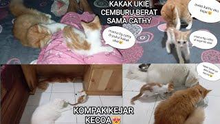 KAKAK UKIECEMBURU SAMA CATHY BAYI BARU YANG MAMA ADOPT DARI SEMAK‼️