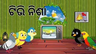 ଟିଭି ନିଶା  TV Nisha  Odia Birds Stories  Tiki Chadhei Gapa  Moral Stories  Jungle Toons