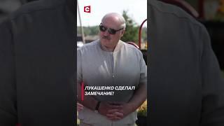 Лукашенко Гомельскую область надо приводить в порядок #лукашенко #новости #политика #президент