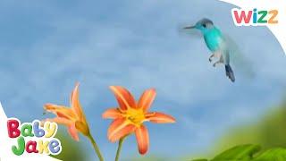 @BabyJakeofficial - The Hummingbird  Full Episode  TV for Kids  @Wizz