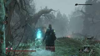 Sekiro  Shadows Die Twice NG+2 - Looting Hidden Forest