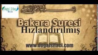 Bakara Suresi  Hızlandırılmış - Mehmet Altundal Hoca