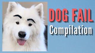 Dog Fail Compilation