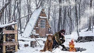 BRAVING A WINTER SNOWSTORM at the Cabin with my Dog