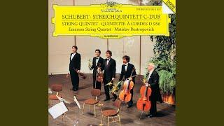 Schubert String Quintet in C Major D. 956 - I. Allegro ma non troppo