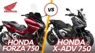 Honda Forza 750 vs X-ADV 750  2024 Model Comparison TM