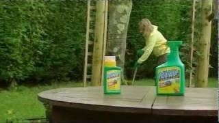 How to Use Successfully a Weedkiller   Video  Roundup