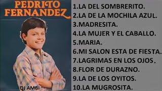 Pedro Fernández SUS MEJORES CANCIONES MIX DE EXITOS ROMANTICOS - LOS MEJORES BALADAS ROMANTICAS