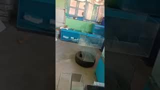 berbagai macam ukuran aquarium.