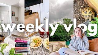 reading 5 star fantasy books + going book shopping  WEEKLY VLOG