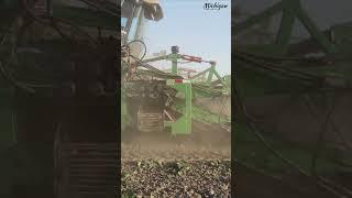 Custom built Claas Lexion Cucumber harvester in Michigan #farmequipment #farming #drone