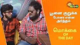 பூனை குறுக்க போனா என்ன அர்த்தம்?  Mokkai of the Day  Adithya TV Throwback