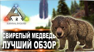 Свирепый медведь Direbear в АРК. Лучший обзор приручение разведение и способности медведей в ark