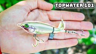 Learn To Fish Topwater Lures In 2024 Success Guaranteed