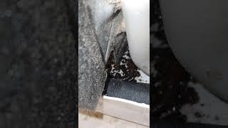 Refrigerator seal system diagnostic  - not cooling & defective condenser assembly