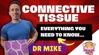 Connective Tissue  Everything you need to know