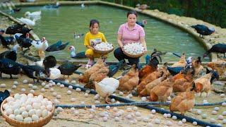 Harvest farm duck eggs and ripe banana bunches - Full family