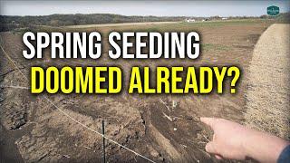 SEEDING A LAWN IN SPRING UPDATE  New Front Lawn Renovation Part 2