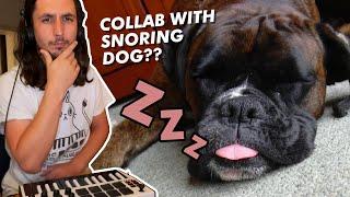 The Kiffness x Snore Dog AWOLNATION - Sail Cover