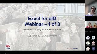 Excel for eID - Back to the basics