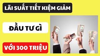 Lãi suất tiết kiệm giảm. Đầu tư gì với 300 triệu đồng?