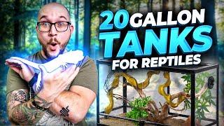 5 Reptiles That Can Live in 20 Gallon Enclosures FOREVER