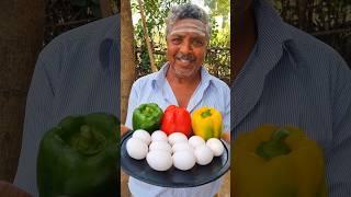 Capsicum 🫑🫑 Tawa Omelette #shorts