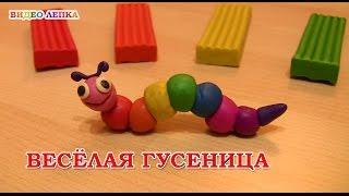 ГУСЕНИЦА - Лепим из пластилина  Видео Лепка