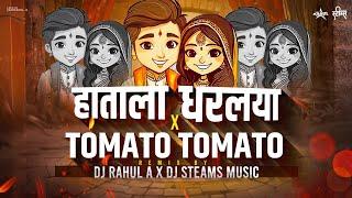 Hatala Dharlaya X Tomato Tomato  DJ Rahul A X DJ Steams Music  Hila Bharl Nyar Pis  Anand Shinde