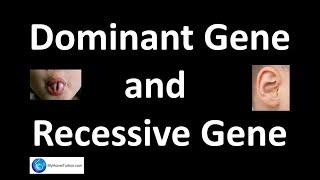 Dominant Gene and Recessive Gene  Genetics  Science