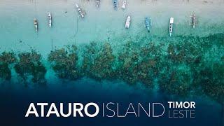 Atauro Remote Island Experience  Timor Leste Travel Vlog