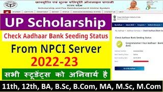 UP scholarship Check Aadhaar Bank Seeding Status From NPCI Server सभी स्टूडेंट्स को अनिवार्य है 2022