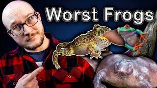 Top 5 WORST Pet Frogs and 5 BETTER Options Youve Never Heard Of