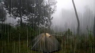 CAMPING IN HEAVY RAIN AND THUNDERSTORMS - RELAXING CAMPING IN THE RAINRAINSTORM - ASMR