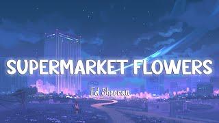 Supermarket Flowers - Ed Sheeran LyricsVietsub